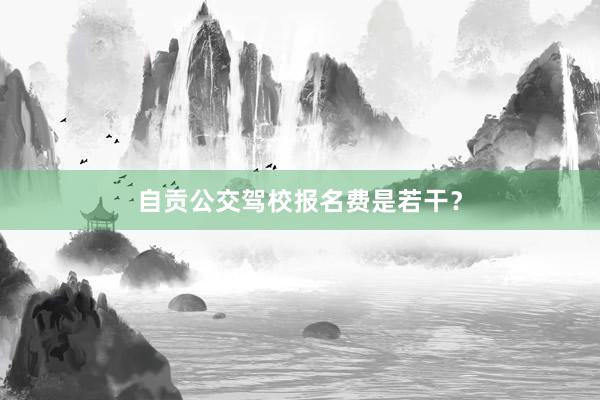 自贡公交驾校报名费是若干?